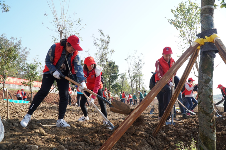 1520909880559542.png 3.png