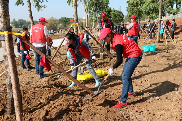 1520909894872519.png 4.png